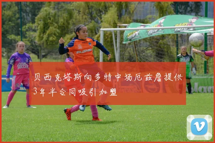 贝西克塔斯向多特中场厄兹詹提供3年半合同吸引加盟