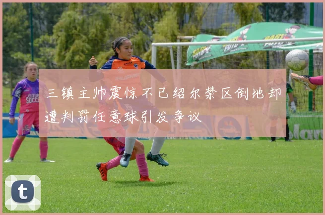 三镇主帅震惊不已绍尔禁区倒地却遭判罚任意球引发争议